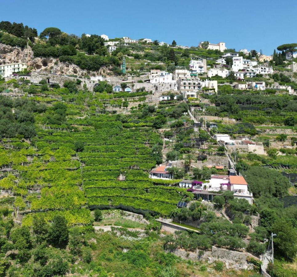 Suite I Limoni رافيلّو المظهر الخارجي الصورة